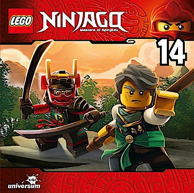 Lego Ninjago (14)