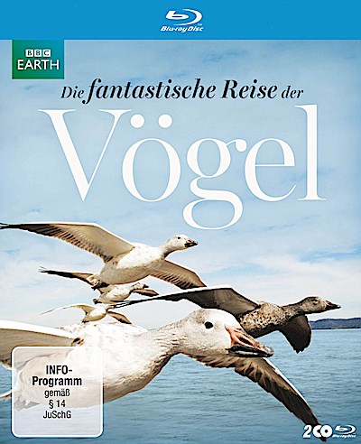 Die fantastische Reise der Vögel