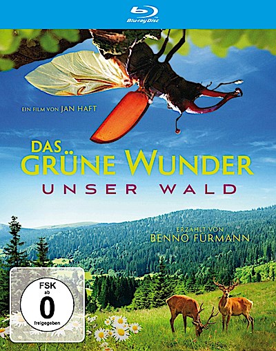 Das grüne Wunder - Unser Wald