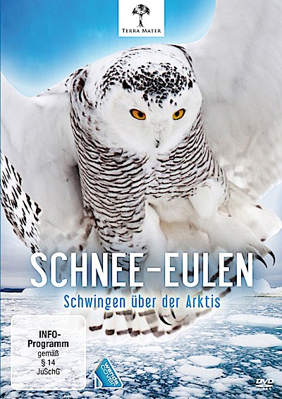 Schnee-Eulen - Schwingen über der Arktis