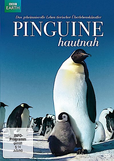 Pinguine Hautnah