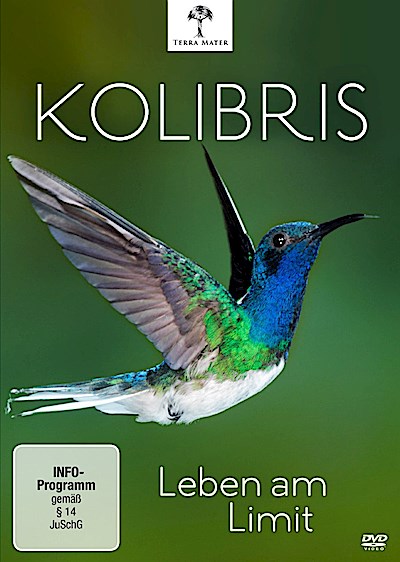 Kolibris - Leben am Limit