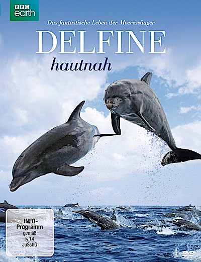 Delfine hautnah