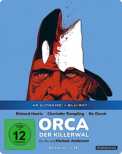 Orca der Killerwal