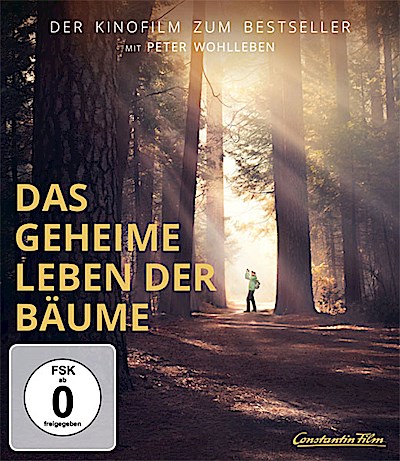 Das geheime Leben der Bäume