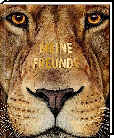 Freundebuch - Meine Freunde