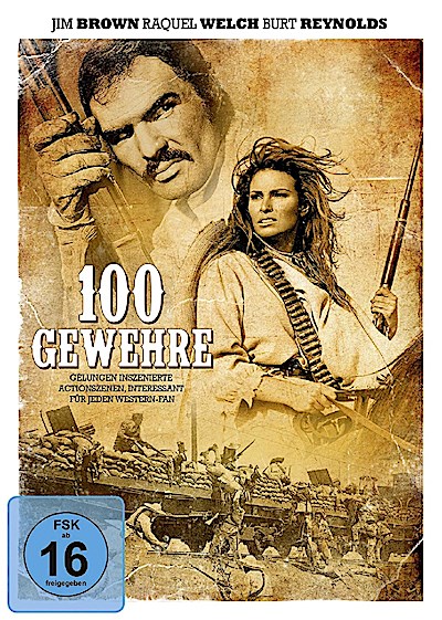 100 Gewehre