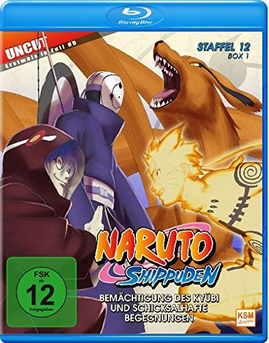 Naruto Shippuden