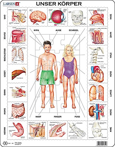 Unser Körper (Kinderpuzzle)