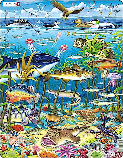 Meereslebewesen im Nordatlantik (Kinderpuzzle)