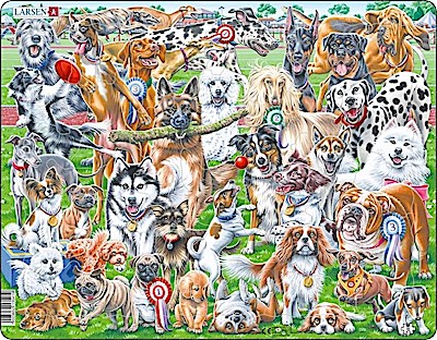 Puzzle - Süße und verspielte Hunde (Selfie/Gruppenbild)