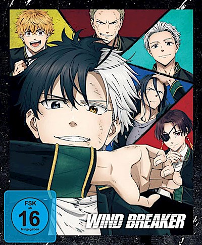 Wind Breaker - Staffel 1 - Vol.1 - [DVD] mit Sammelschuber