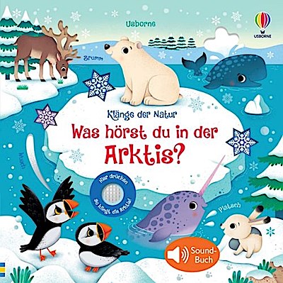 Klänge der Natur: Was hörst du in der Arktis?