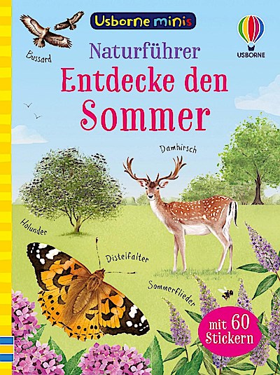 Usborne Minis - Naturführer: Entdecke den Sommer