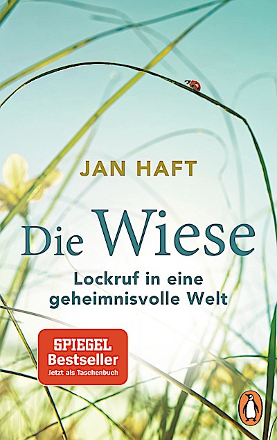 Die Wiese