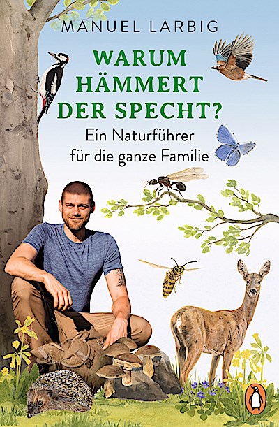 Warum hämmert der Specht?