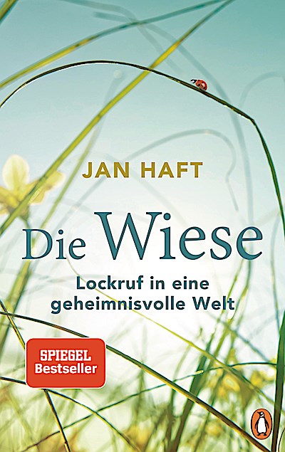 Die Wiese