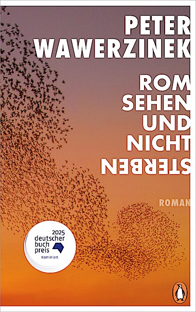 Rom sehen und nicht sterben