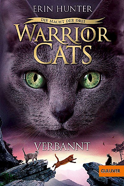 Warrior Cats Staffel 3/03. Die Macht der Drei. Verbannt