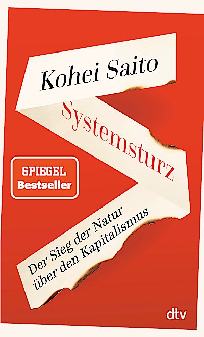Systemsturz