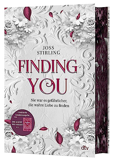 Finding You - Die Macht der Seelen