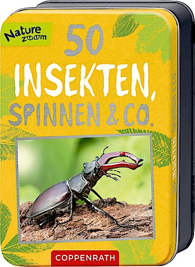 50 Insekten, Spinnen & Co.