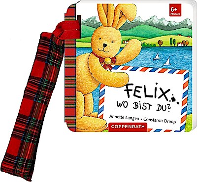 Felix, wo bist du? (Buggybuch)