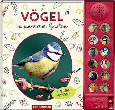 Vögel in unserem Garten