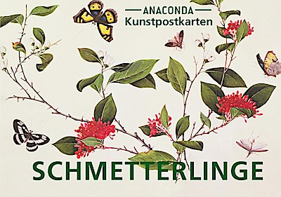 Postkarten-Set Schmetterlinge
