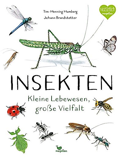 Insekten - Kleine Lebewesen, große Vielfalt