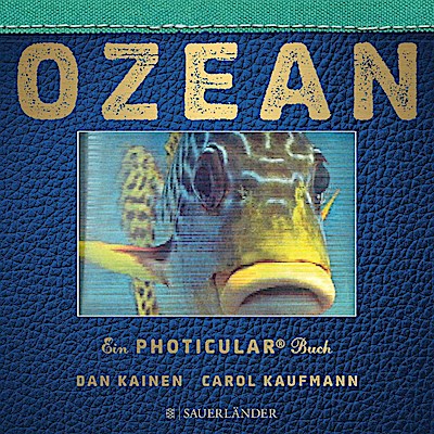 Ozean