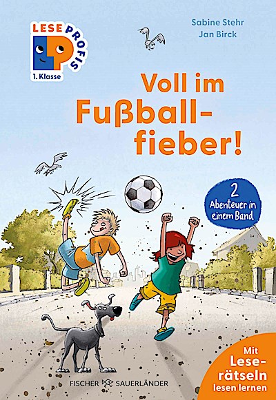 Leseprofis - Voll im Fußballfieber!, 1. Klasse (Doppelband)