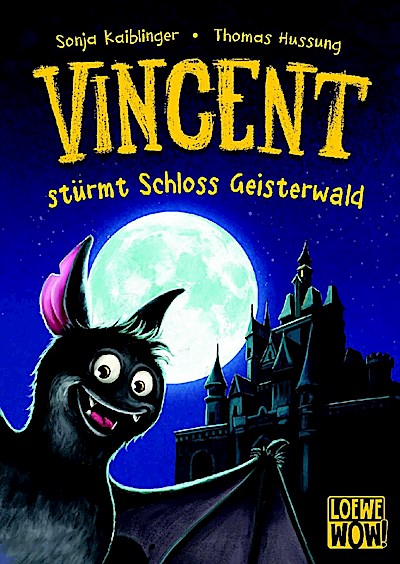 Vincent stürmt Schloss Geisterwald (Band 4)