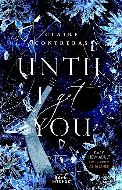 Until I Get You (Fairview Hockey, Band 1)