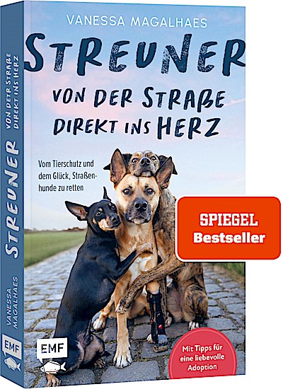 Streuner - von der Straße direkt ins Herz