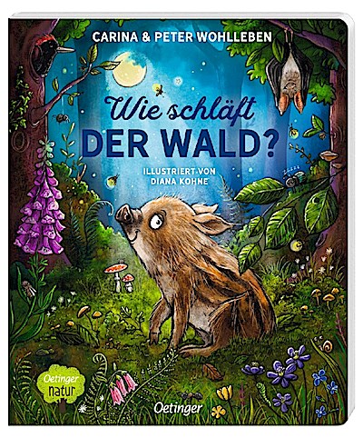 Wie schläft der Wald?