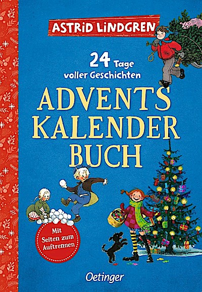 24 Tage voller Geschichten. Adventskalenderbuch