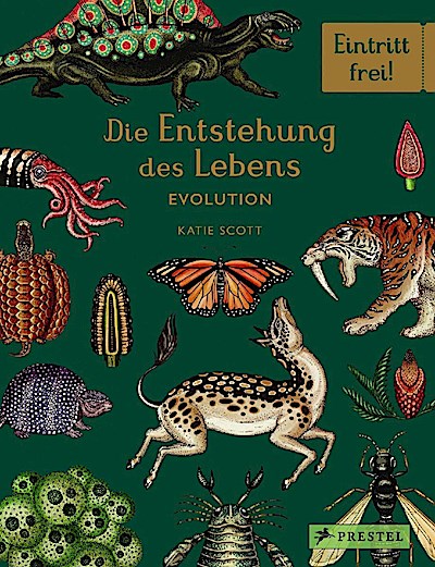 Die Entstehung des Lebens. Evolution