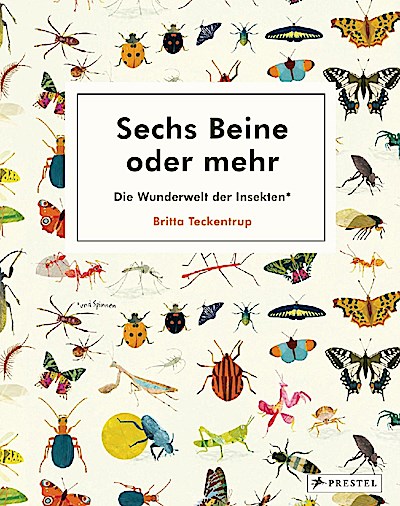 Sechs Beine oder mehr - Die Wunderwelt der Insekten