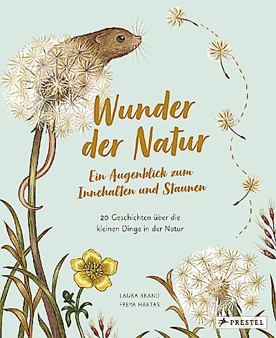 Wunder der Natur. Ein Augenblick zum Innehalten und Staunen