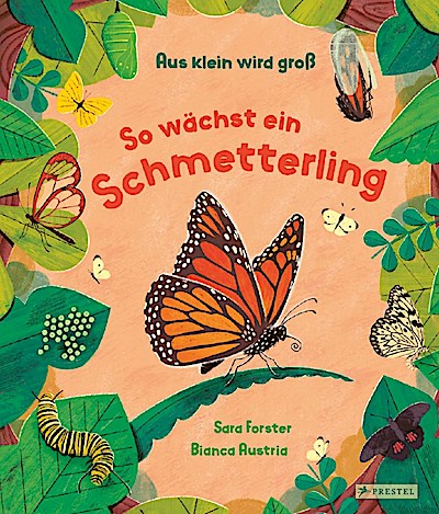 Aus klein wird groß. So wächst ein Schmetterling