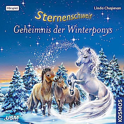 Sternenschweif - Geheimnis der Winterponys, 1 Audio-CD