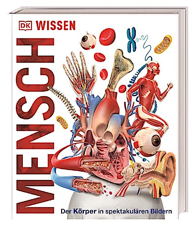 Wissen - Mensch