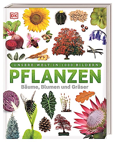 Pflanzen