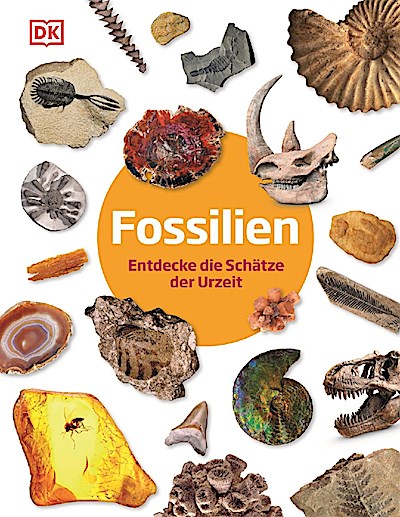 Fossilien