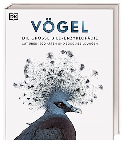 Vögel