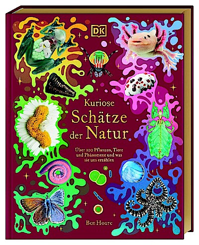 Kuriose Schätze der Natur