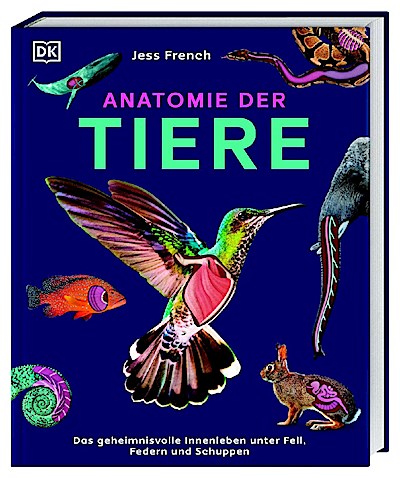 Anatomie der Tiere