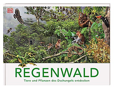 Regenwald