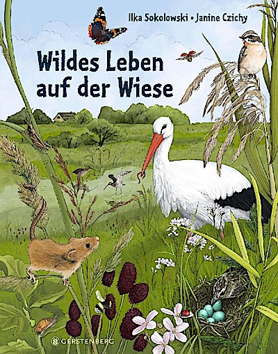 Wildes Leben auf der Wiese